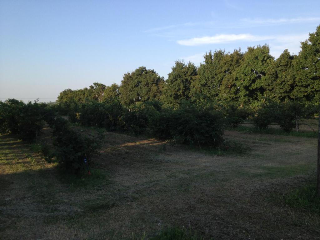 Societa Agricola Le More Agriturismo La Dondina Villa Budrio  Exterior photo